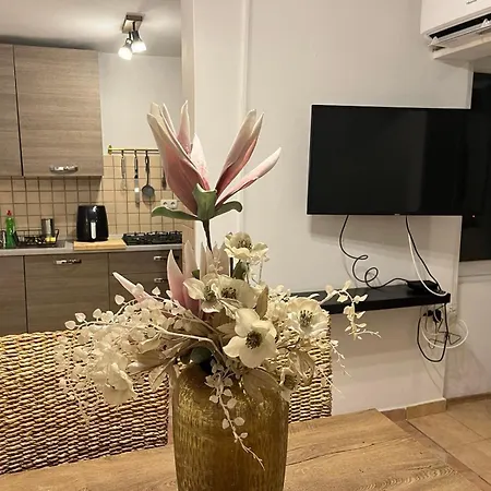 Apartment Chiara Rab Town